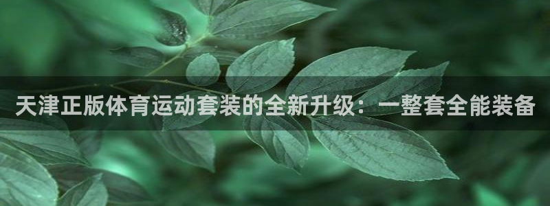 三亿体育