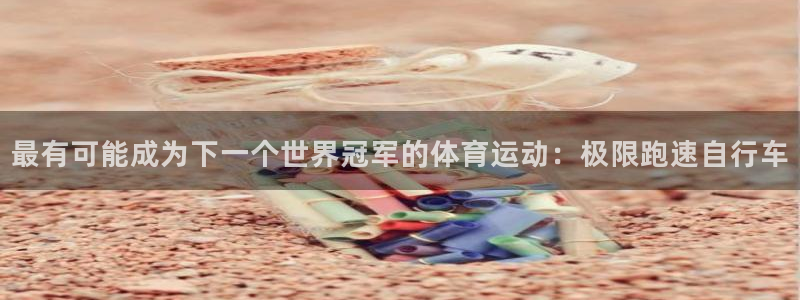 三亿体育网