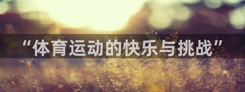 三亿体育网页版