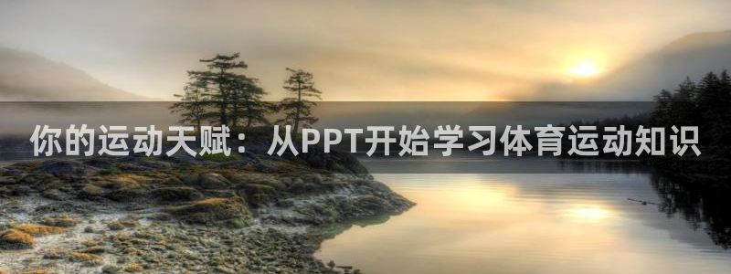 三亿体育网页版