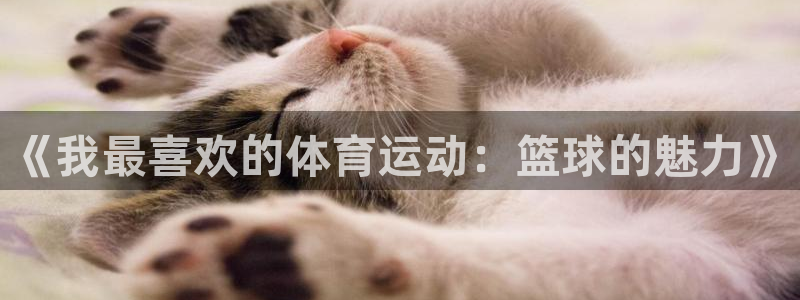 三亿体育网页版