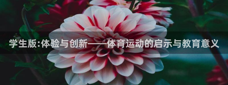 三亿体育登录