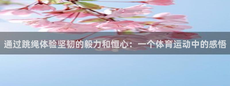 三亿体育